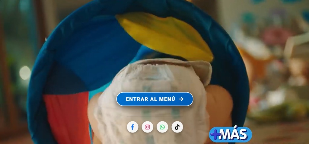 Distribuidora A&E